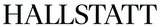 Hallstatt Clothing Digital Marketing Client Logo